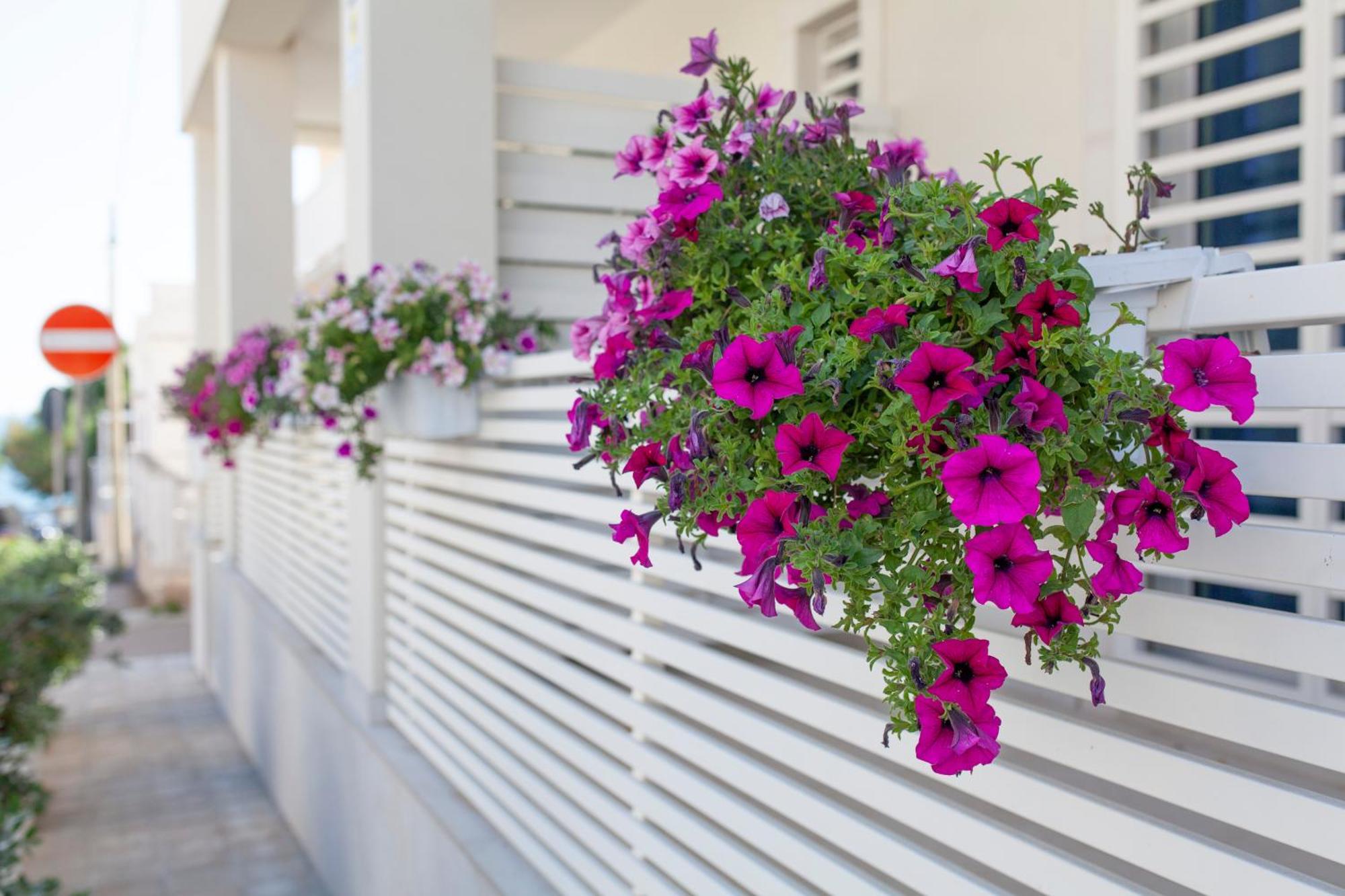 Bed and Breakfast Dimora Nesea Cozze Exterior foto
