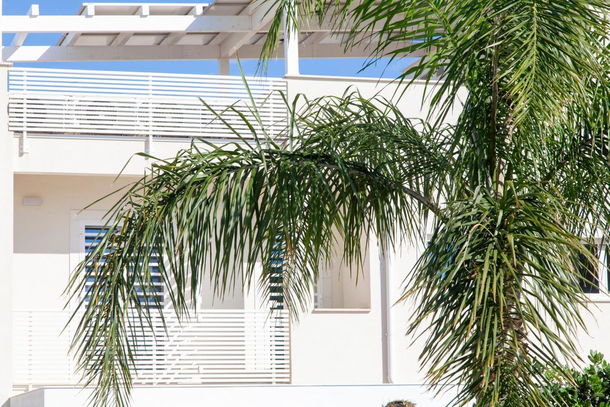 Bed and Breakfast Dimora Nesea Cozze Exterior foto